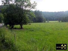 Sprinker Maar bei Strohn nahe Daun, Vulkaneifel, Rheinland-Pfalz, (D) (1) 01. Juni 2014.JPG